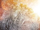 Winter background with falling snow 