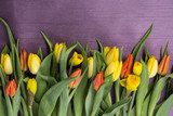 Wiosenny bukiet kwiatÃ³w z Å¼Ã³Åtych i czerwonych tulipanÃ³w oraz Å¼onkili  w na fioletowym tle