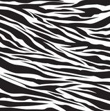 Zebra - Magie in Weiß und Schwarz 