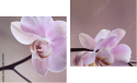 Zweiteiliges Leinwandbild - Diptychon