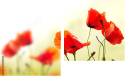Zweiteiliges Leinwandbild - Diptychon