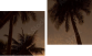 Zweiteiliges Leinwandbild - Diptychon