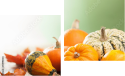 Zweiteiliges Leinwandbild - Diptychon