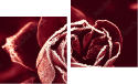 Zweiteiliges Leinwandbild - Diptychon