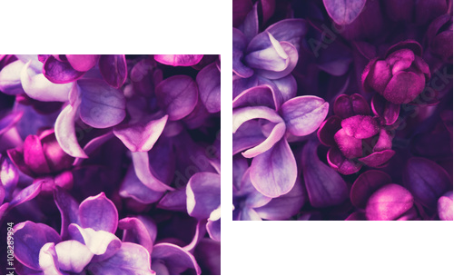 Lilac flowers background - Zweiteiliges Leinwandbild, Diptychon