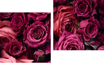 Roses background - Zweiteiliges Leinwandbild, Diptychon
