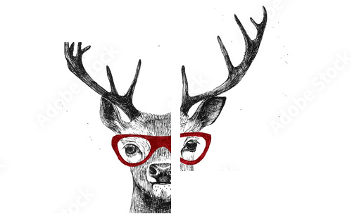 Hand drawn dressed up deer  - Zweiteiliges Leinwandbild, Diptychon