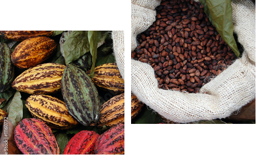 Ziarna kakaowca
 - Zweiteiliges Leinwandbild, Diptychon