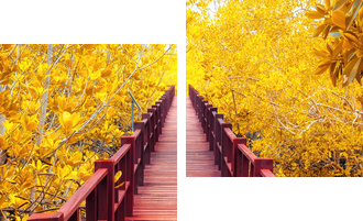 wooden bridge & autumn forest. - Zweiteiliges Leinwandbild, Diptychon