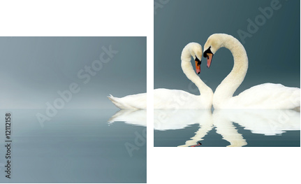 Love Swans - Zweiteiliges Leinwandbild, Diptychon