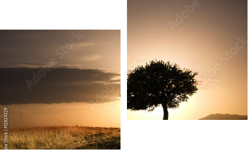 Samotne drzewo i zachód słońca
 - Zweiteiliges Leinwandbild, Diptychon