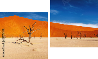 Namib Desert, Sossusvlei, Namibia - Zweiteiliges Leinwandbild, Diptychon