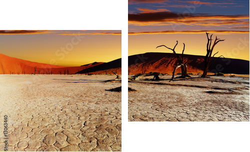 Namib Desert, Sossusvlei, Namibia - Zweiteiliges Leinwandbild, Diptychon