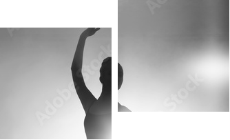 silhouette of a ballerina - Zweiteiliges Leinwandbild, Diptychon