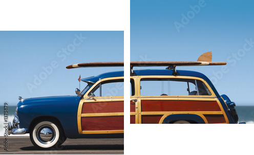 woody-profile - Zweiteiliges Leinwandbild, Diptychon
