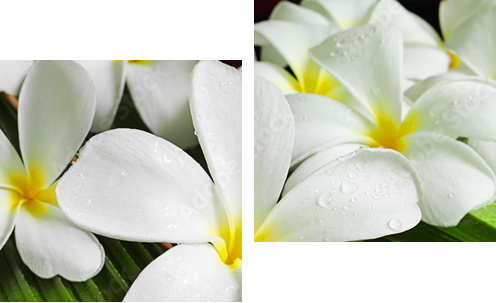 flowers spa - Zweiteiliges Leinwandbild, Diptychon