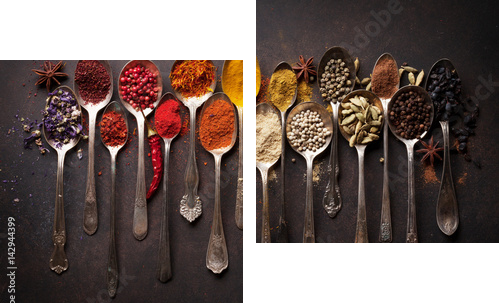 Various spices spoons - Zweiteiliges Leinwandbild, Diptychon