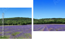 Panorama de provence - Zweiteiliges Leinwandbild, Diptychon