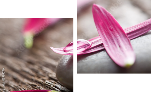 Flower petals - Zweiteiliges Leinwandbild, Diptychon