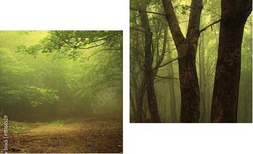 Green forest with fog - Zweiteiliges Leinwandbild, Diptychon
