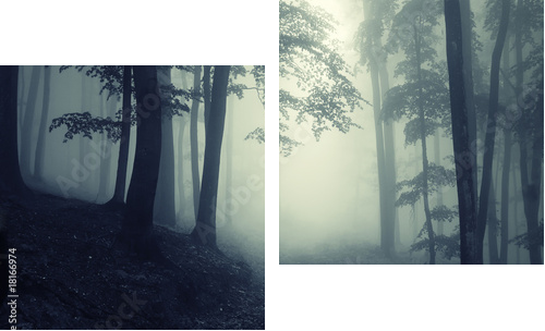 Forest - Zweiteiliges Leinwandbild, Diptychon