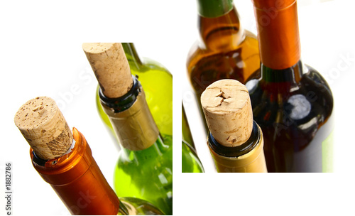 wine group - Zweiteiliges Leinwandbild, Diptychon