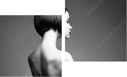 Elegant lady with stylish hairstyle - Zweiteiliges Leinwandbild, Diptychon