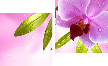 Wellness Motiv mit Orchidee - Zweiteiliges Leinwandbild, Diptychon