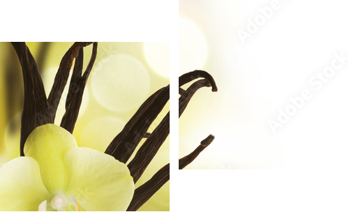 Beautiful Vanilla beans and flower over blurred background - Zweiteiliges Leinwandbild, Diptychon