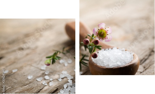 Bath salt - Zweiteiliges Leinwandbild, Diptychon