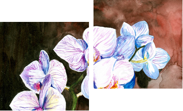 Orchidea malowana akwarelą - Zweiteiliges Leinwandbild, Diptychon