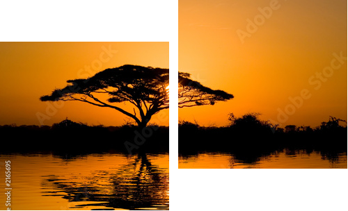 acacia tree at sunrise - Zweiteiliges Leinwandbild, Diptychon