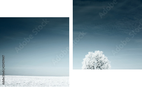 Tree - Zweiteiliges Leinwandbild, Diptychon