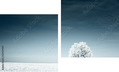 Zimowa łąka otulona białym puchem - Zweiteiliges Leinwandbild, Diptychon