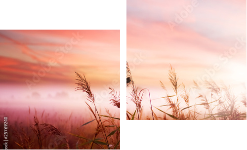 Foggy LandscapeEarly Morning Mist - Zweiteiliges Leinwandbild, Diptychon