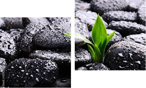 Spa concept - Zweiteiliges Leinwandbild, Diptychon