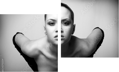 portrait of beauty sexy fashion girl - Zweiteiliges Leinwandbild, Diptychon