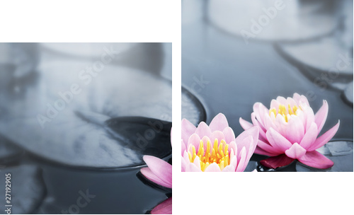 Lotus blossoms - Zweiteiliges Leinwandbild, Diptychon