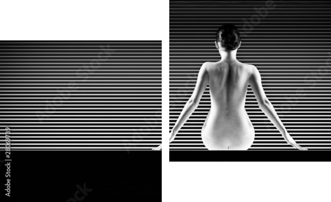 black and white artistic nude; a back silhouette shot on striped - Zweiteiliges Leinwandbild, Diptychon
