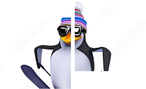 3d Penguin skiing like a pro - Zweiteiliges Leinwandbild, Diptychon
