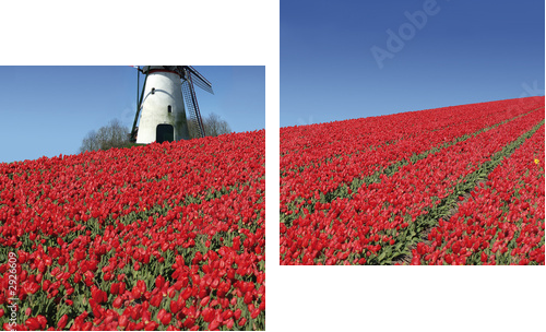 Esencja Holandii – wiatrak i tulipany
 - Zweiteiliges Leinwandbild, Diptychon