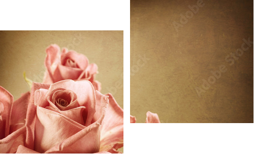 Beautiful Pink Roses Vintage Styled Sepia toned - Zweiteiliges Leinwandbild, Diptychon