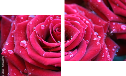 Red rose with dew - Zweiteiliges Leinwandbild, Diptychon