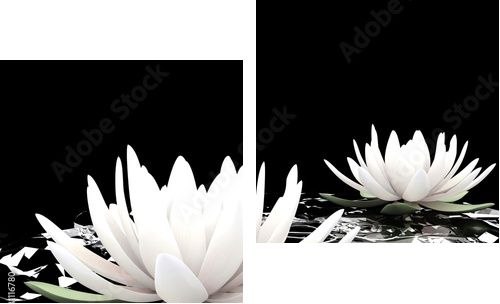 3d lotus on water - Zweiteiliges Leinwandbild, Diptychon