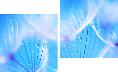 Soft dandelion flowers - Zweiteiliges Leinwandbild, Diptychon