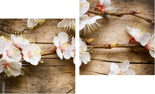 Wood background with spring blossom - Zweiteiliges Leinwandbild, Diptychon