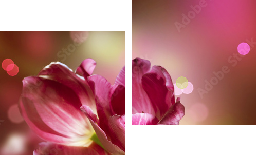 Flowers Anniversary Card Design - Zweiteiliges Leinwandbild, Diptychon