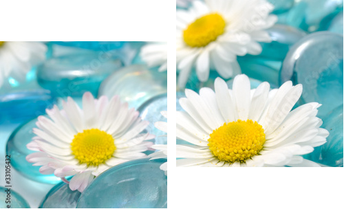 Daisy Flowers on Blue Glass Stones - Zweiteiliges Leinwandbild, Diptychon