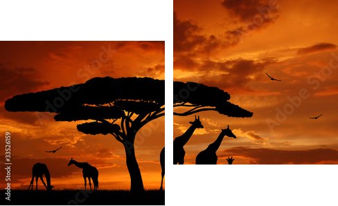 herd of giraffes in the setting sun - Zweiteiliges Leinwandbild, Diptychon