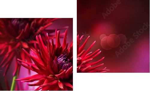 Dahlia Autumn flower design - Zweiteiliges Leinwandbild, Diptychon